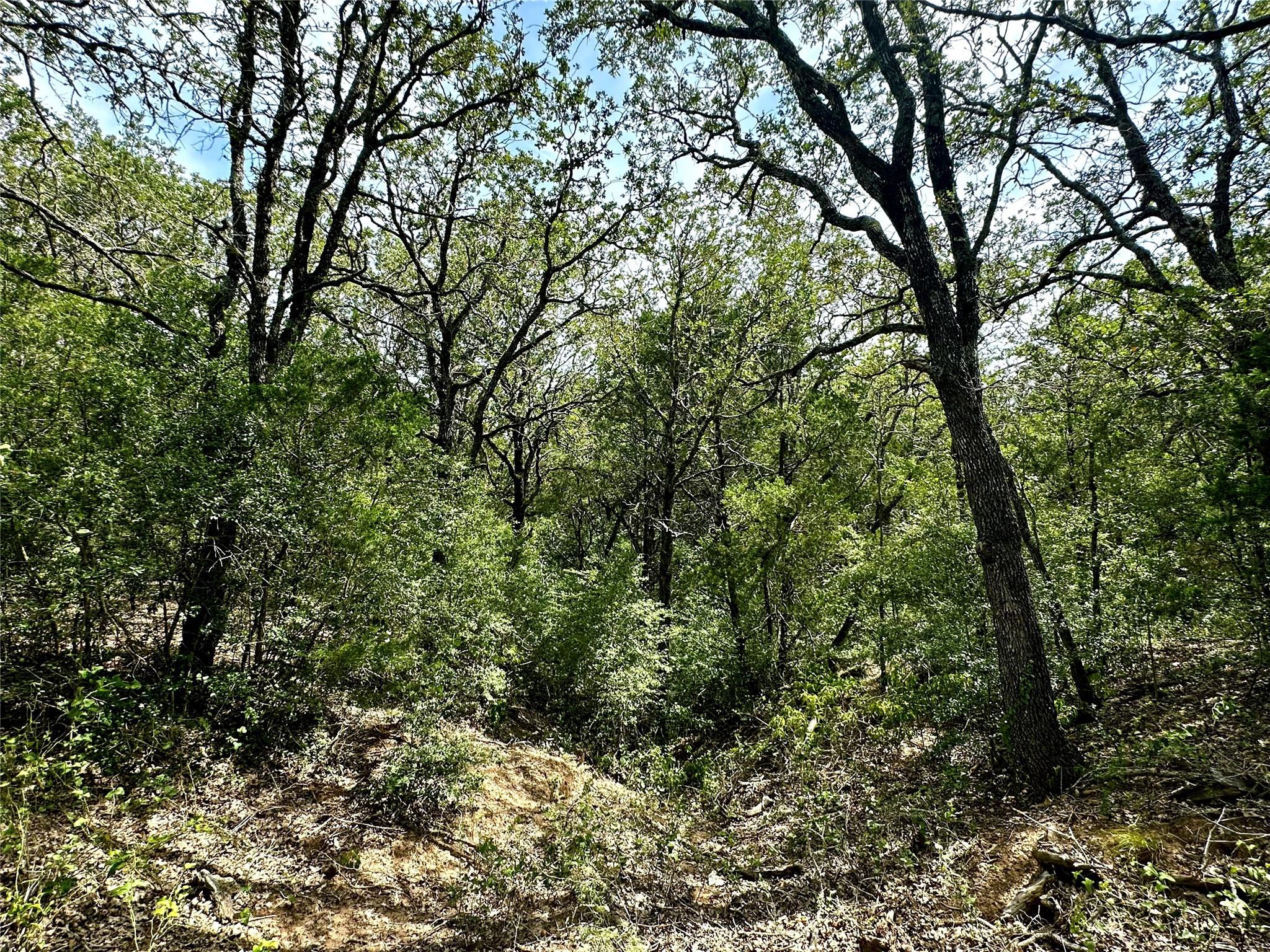 147 Blue Sky Dr, Bastrop, TX 78602