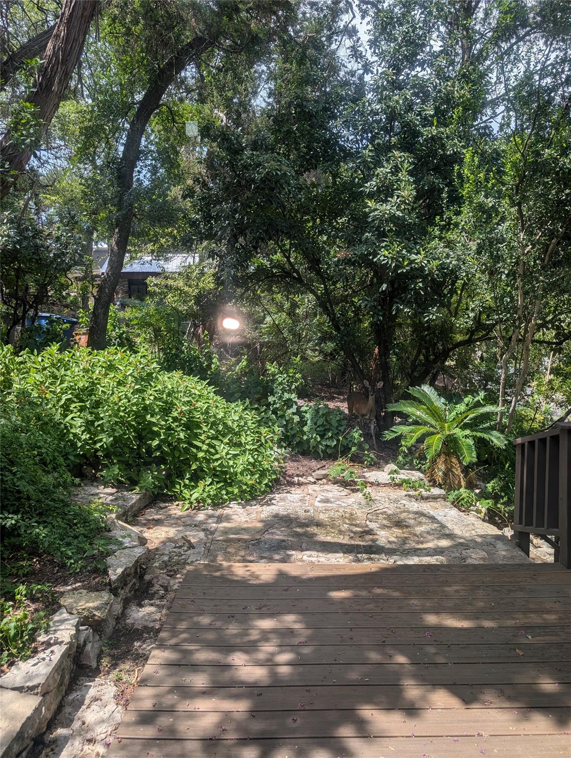 6002 Shadow Valley Cv # A, Austin, TX 78731