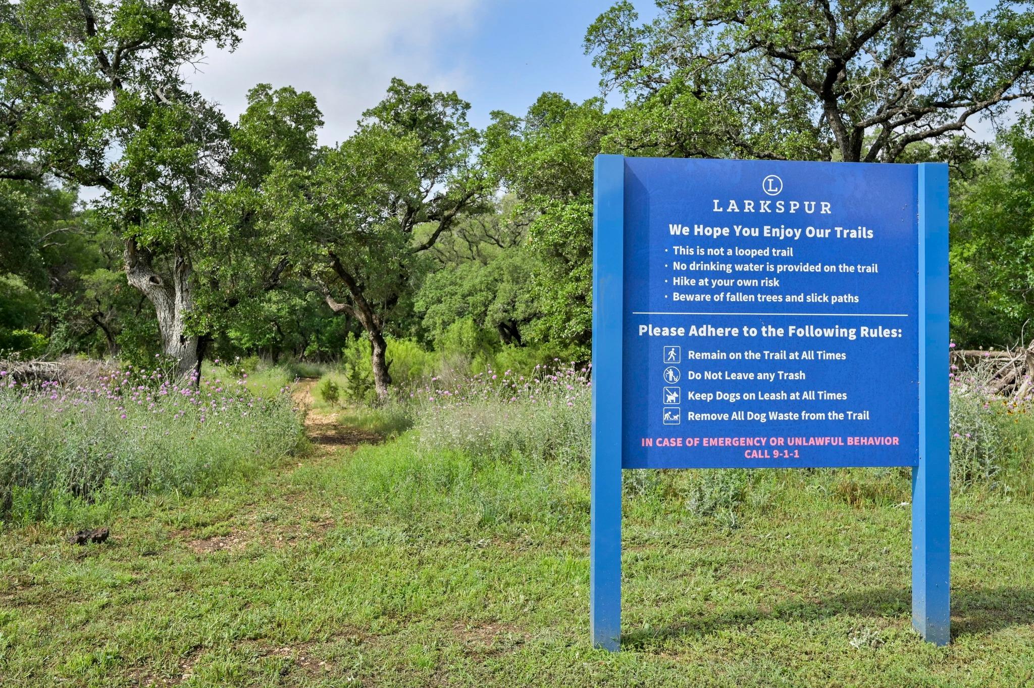 440 STAUNTON Dr, Leander, TX 78641