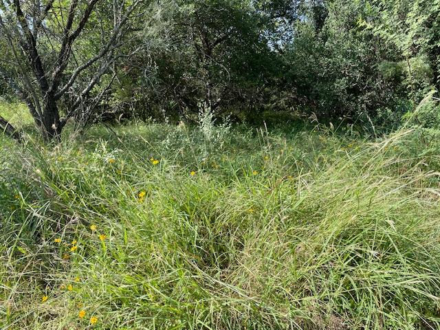 Lot 80 Wesley Ridge Dr, Spicewood, TX 78669