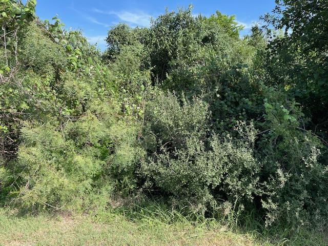 Lot 80 Wesley Ridge Dr, Spicewood, TX 78669