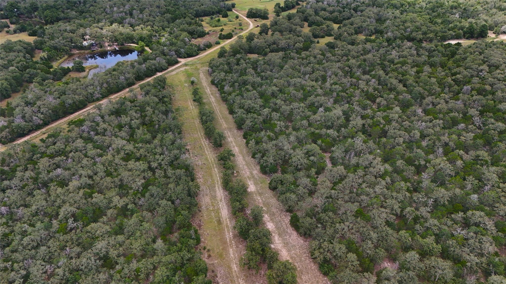 2250 Old Lockhart Rd, Plum, TX 78952