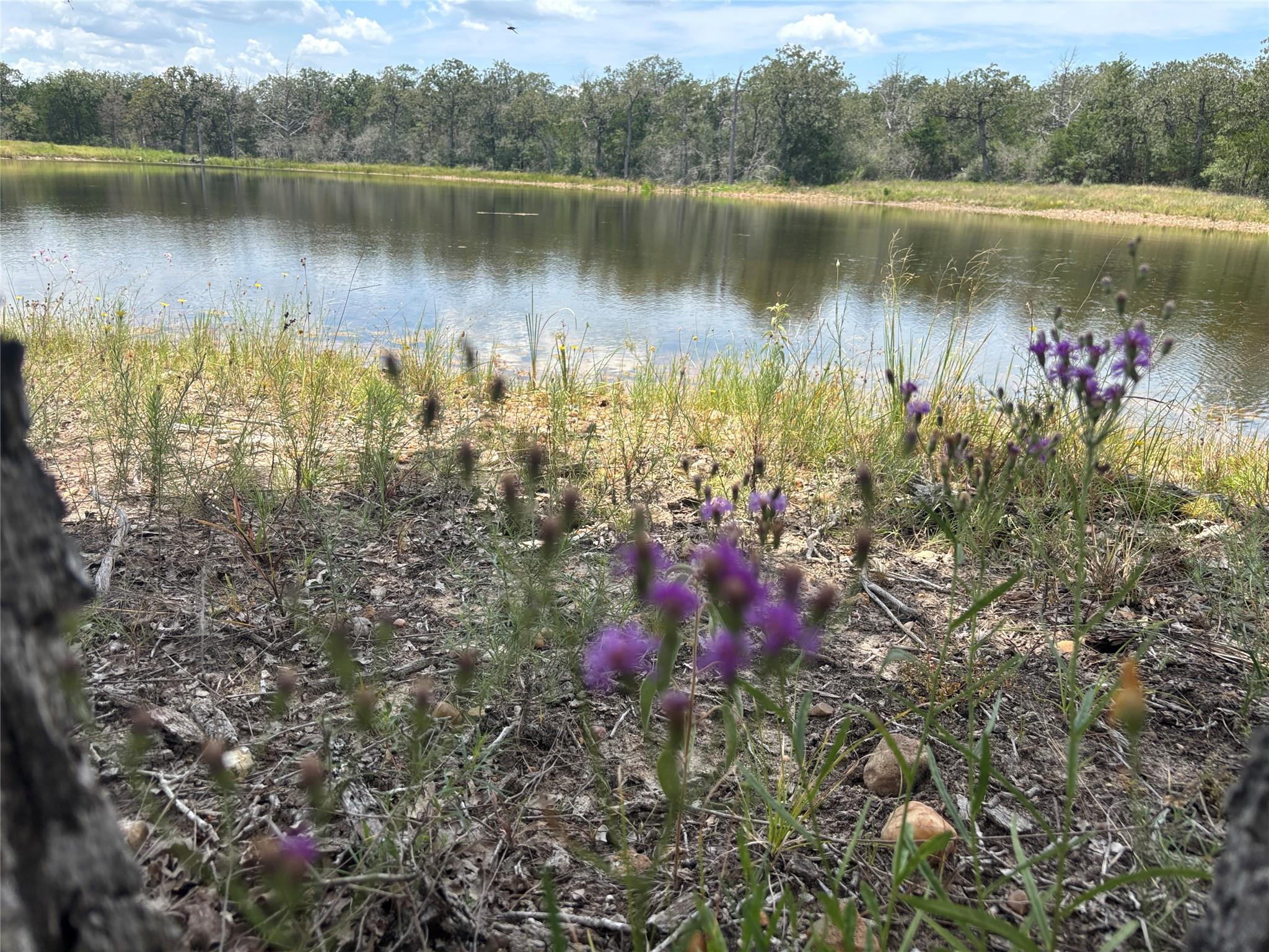 2250 Old Lockhart Rd, Plum, TX 78952