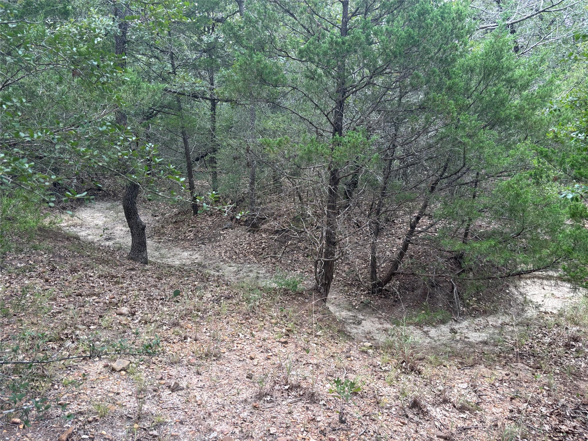 2250 Old Lockhart Rd, Plum, TX 78952