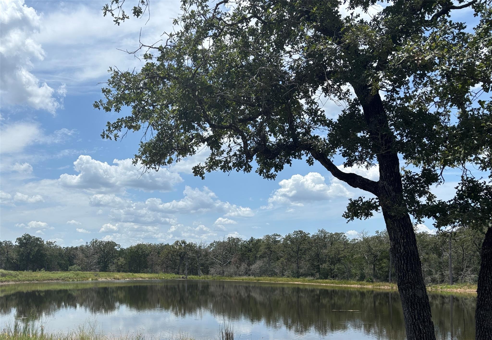 2250 Old Lockhart Rd, Plum, TX 78952