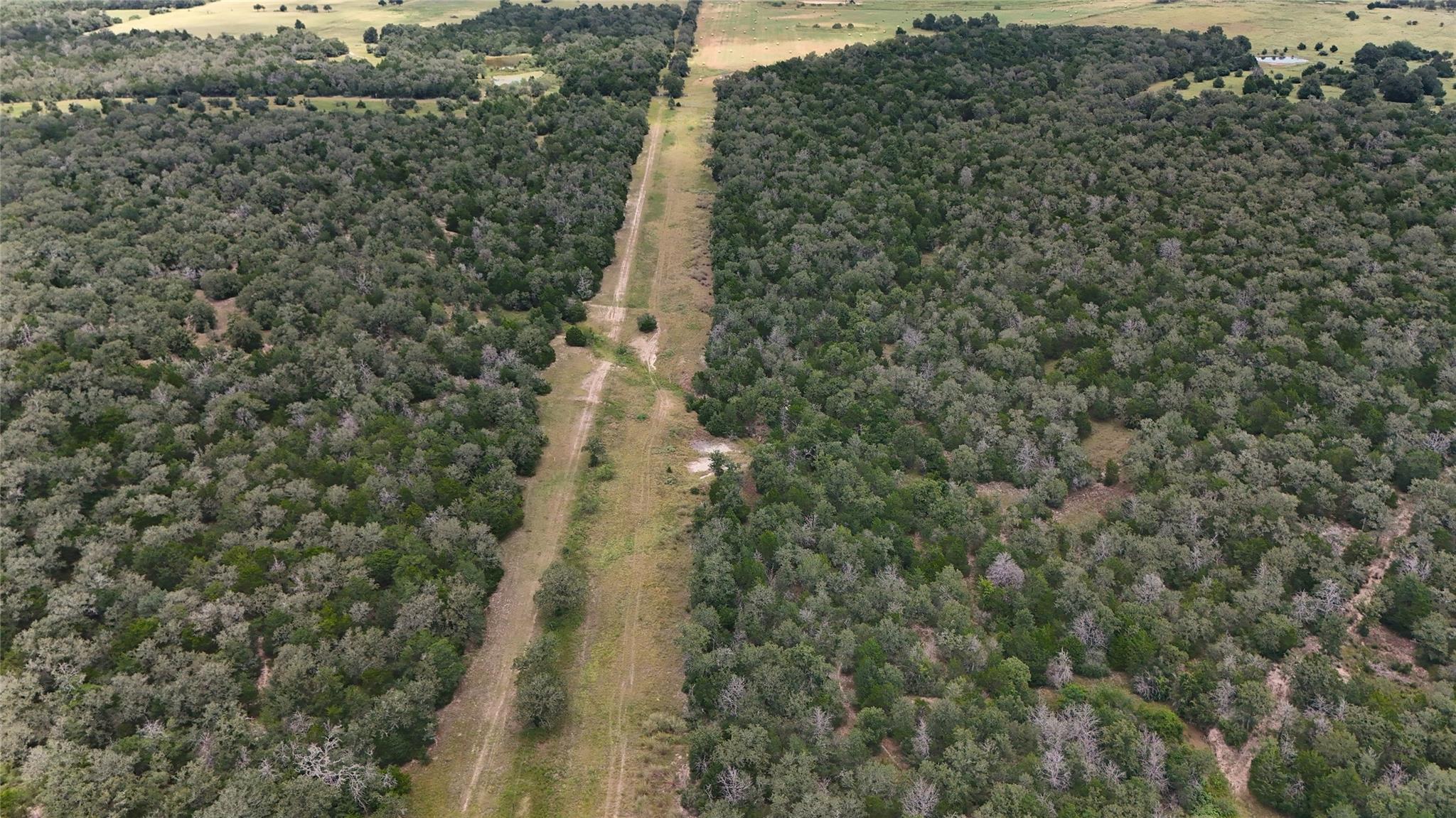 2250 Old Lockhart Rd, Plum, TX 78952