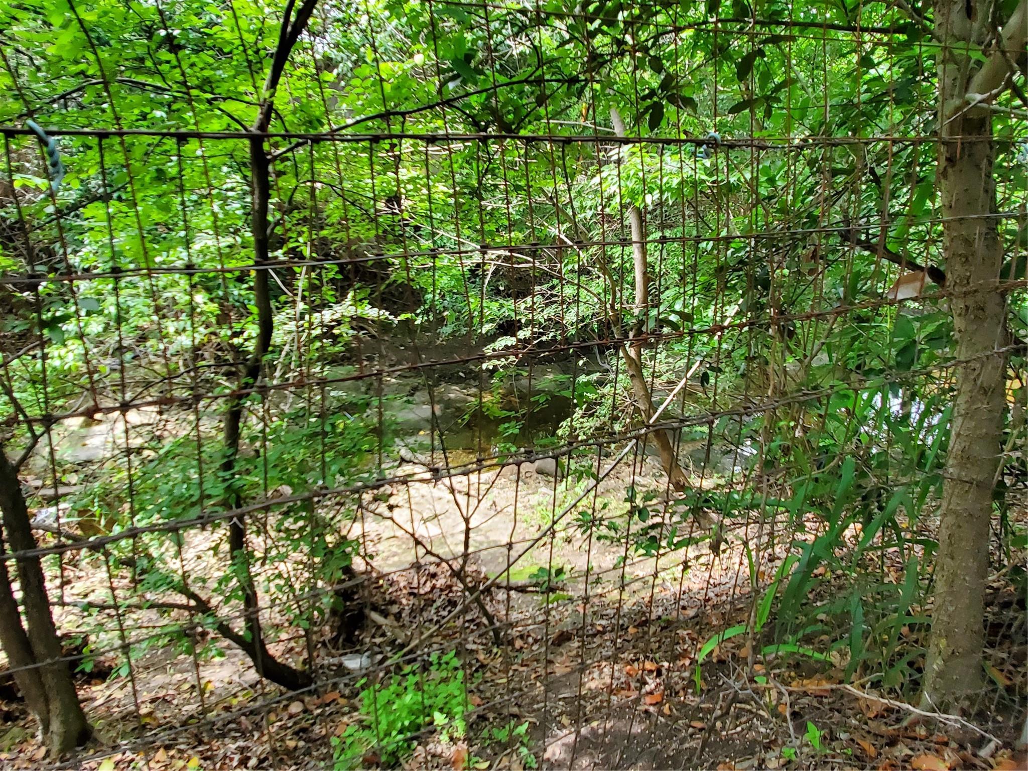 5512 Joe Sayers Ave, Austin, TX 78756