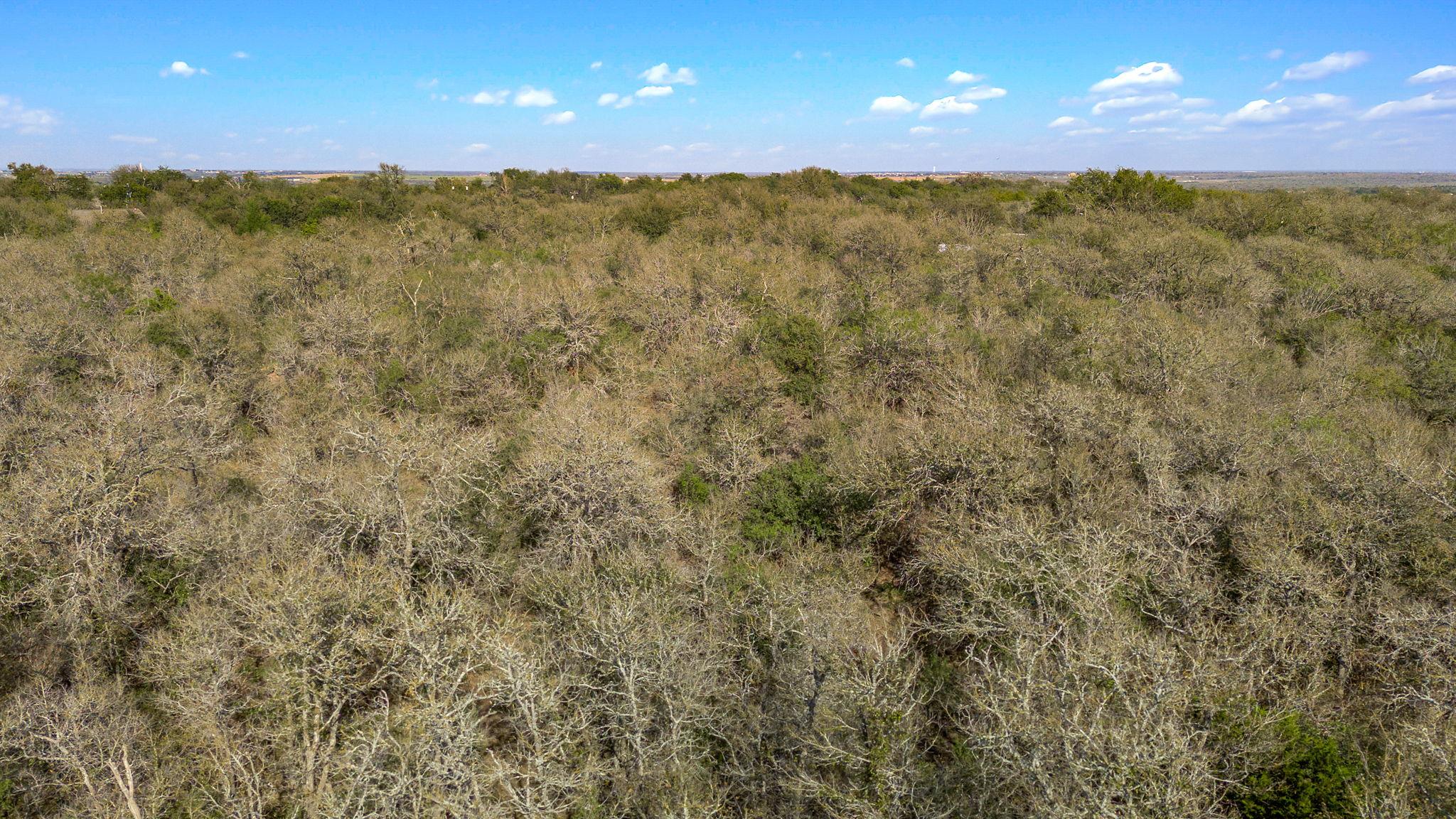 1710 Bock Rd, Buda, TX 78610