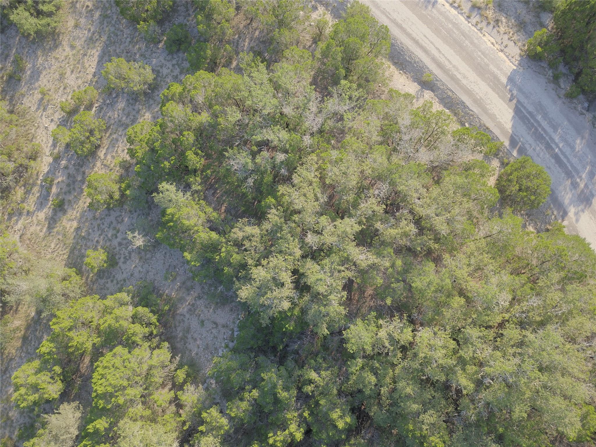 8205 Cactus Bend Cv, Lago Vista, TX 78645