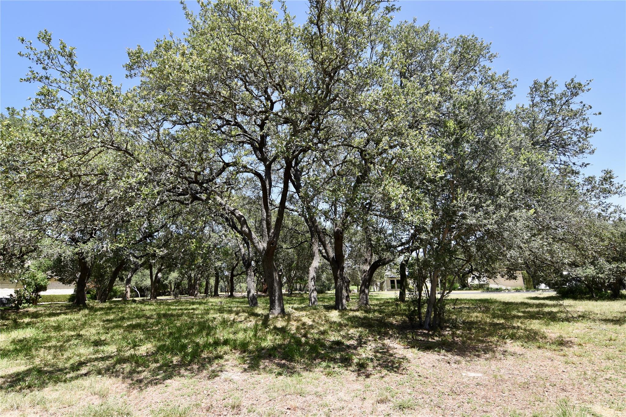 2802 Marina Shores Dr, Spicewood, TX 78669