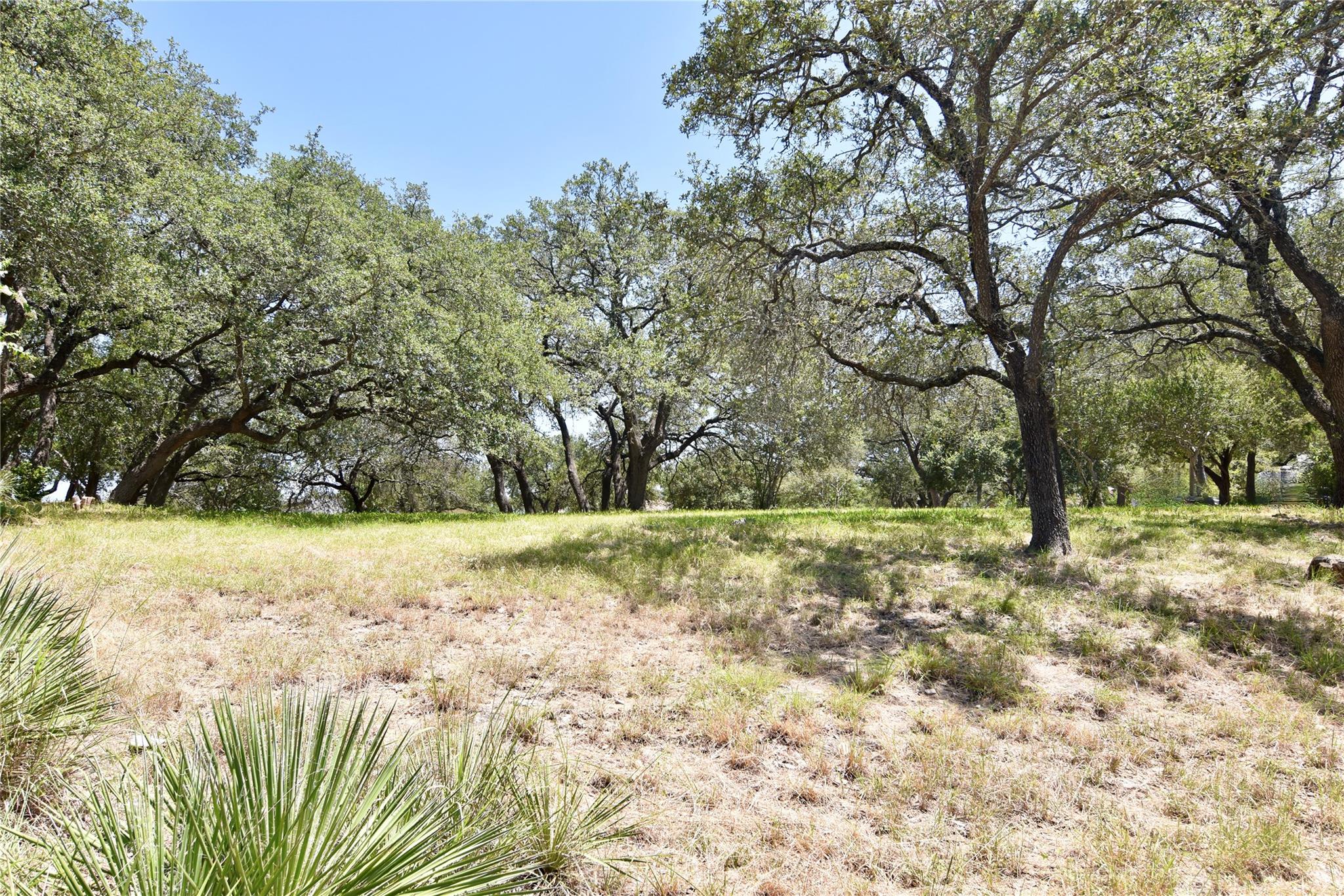 2802 Marina Shores Dr, Spicewood, TX 78669