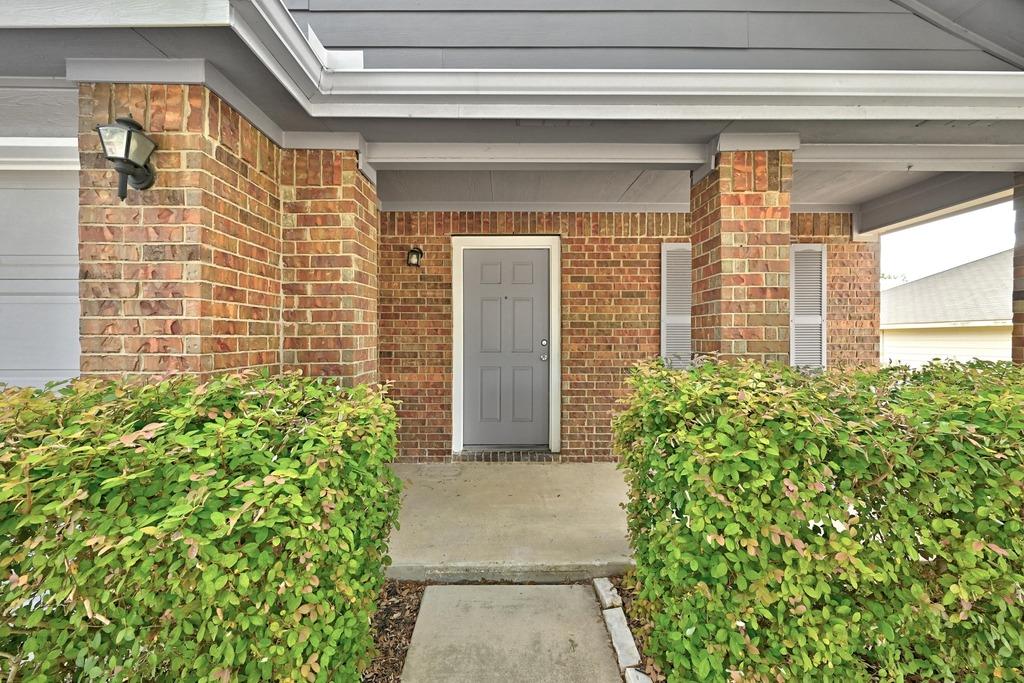 263 Feathergrass Drive, Buda, TX 78610