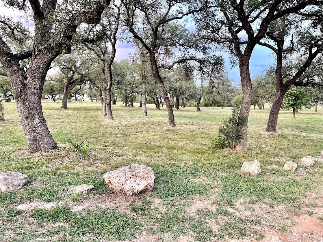 15600 Cedar Ledge St, Austin, TX 78734