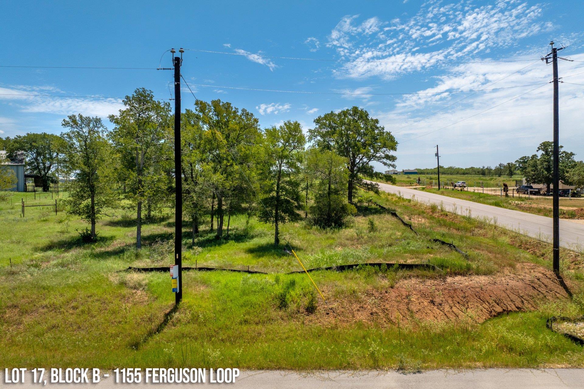 1155 Ferguson Loop, Dale, TX 78616
