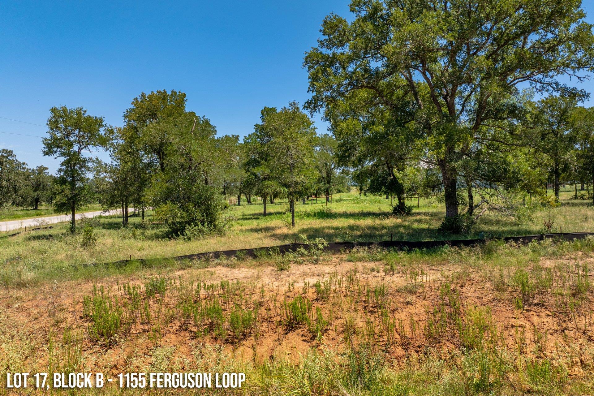 1155 Ferguson Loop, Dale, TX 78616