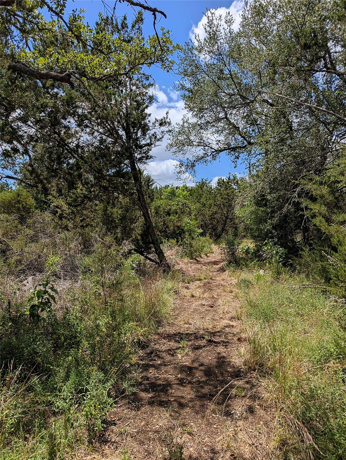 2105 Chaparral Park Rd, Manchaca, TX 78652