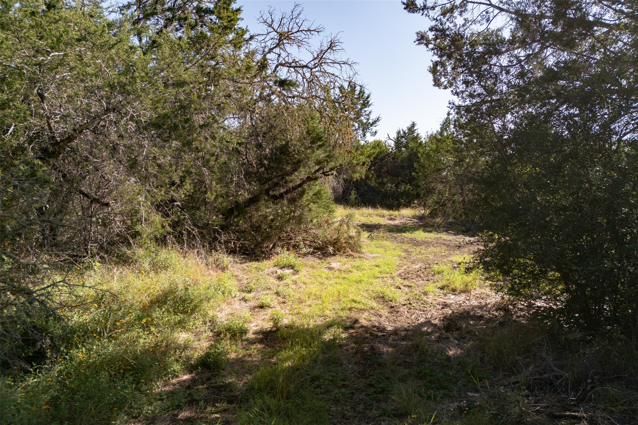 2105 Chaparral Park Rd, Manchaca, TX 78652