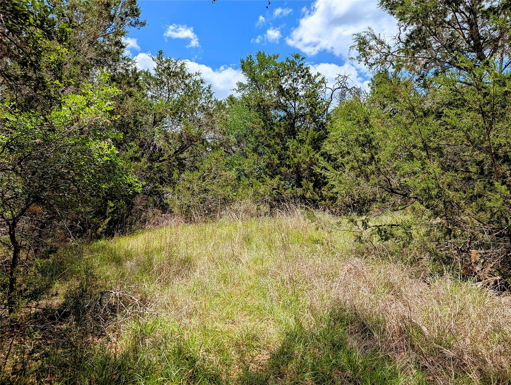 2105 Chaparral Park Rd, Manchaca, TX 78652