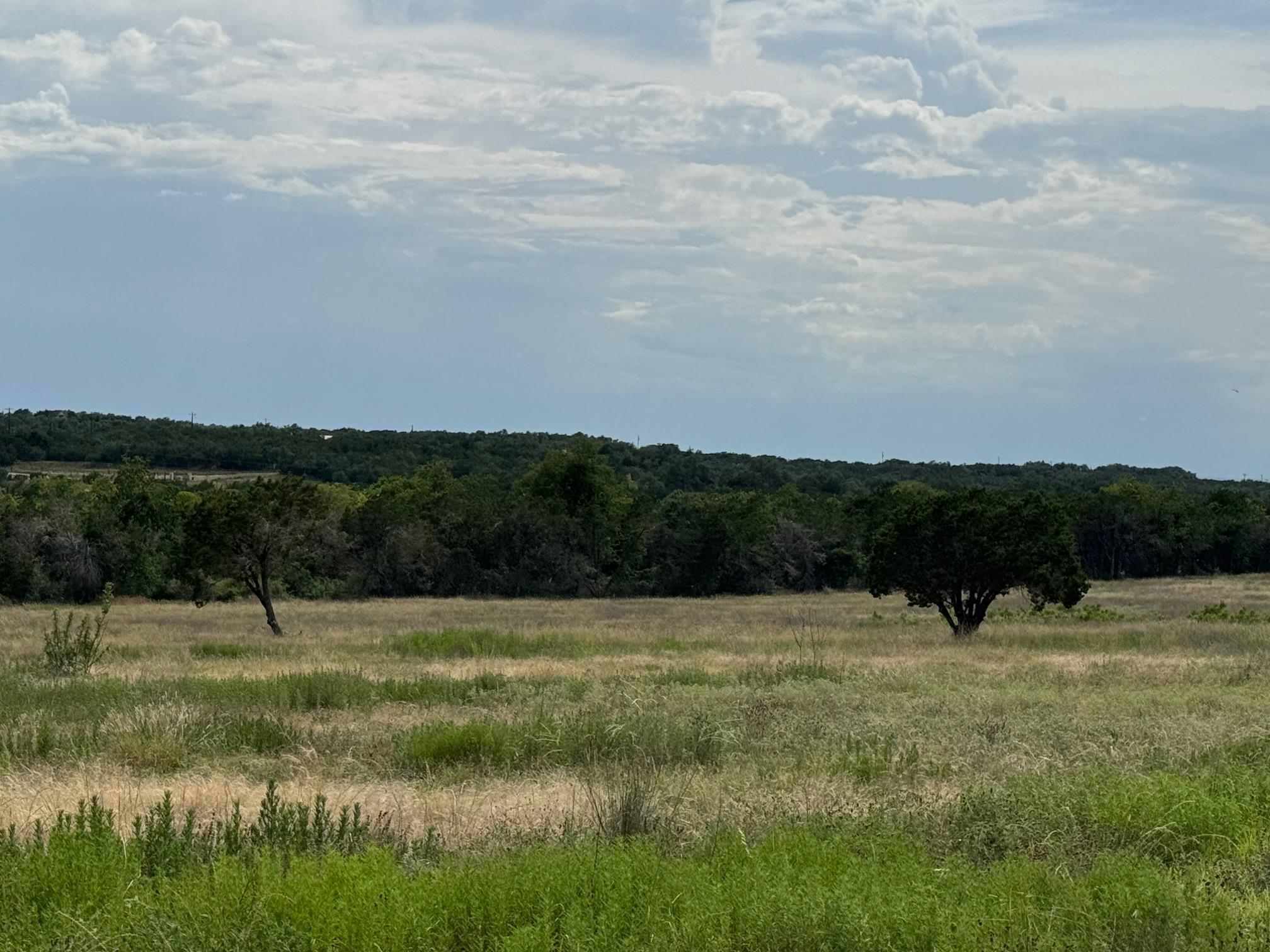 251 Pioneer Trl, Dripping Springs, TX 78620