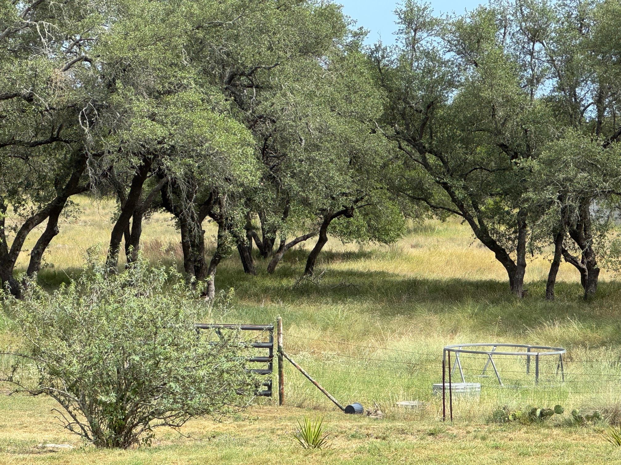 251 Pioneer Trl, Dripping Springs, TX 78620