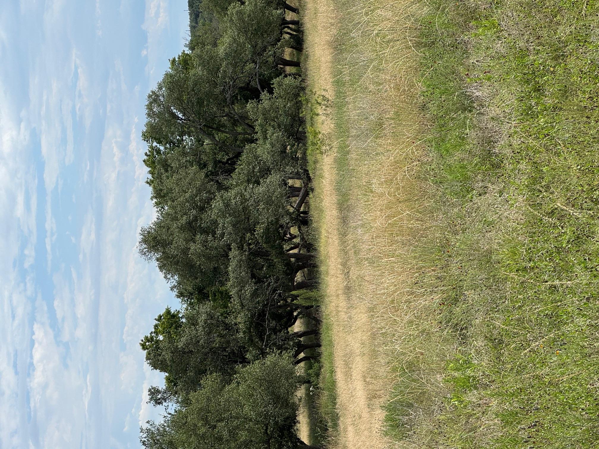 251 Pioneer Trl, Dripping Springs, TX 78620