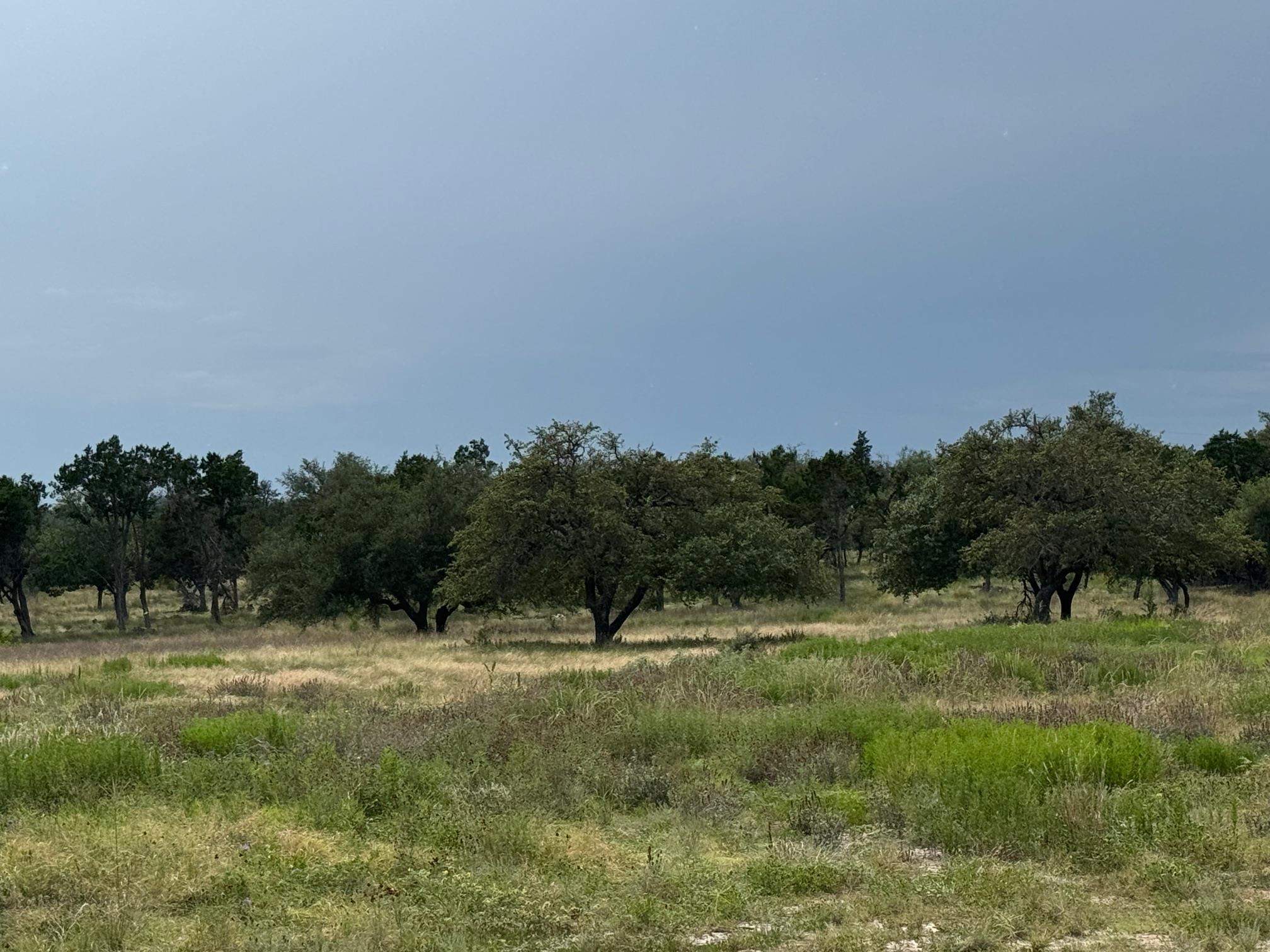 251 Pioneer Trl, Dripping Springs, TX 78620