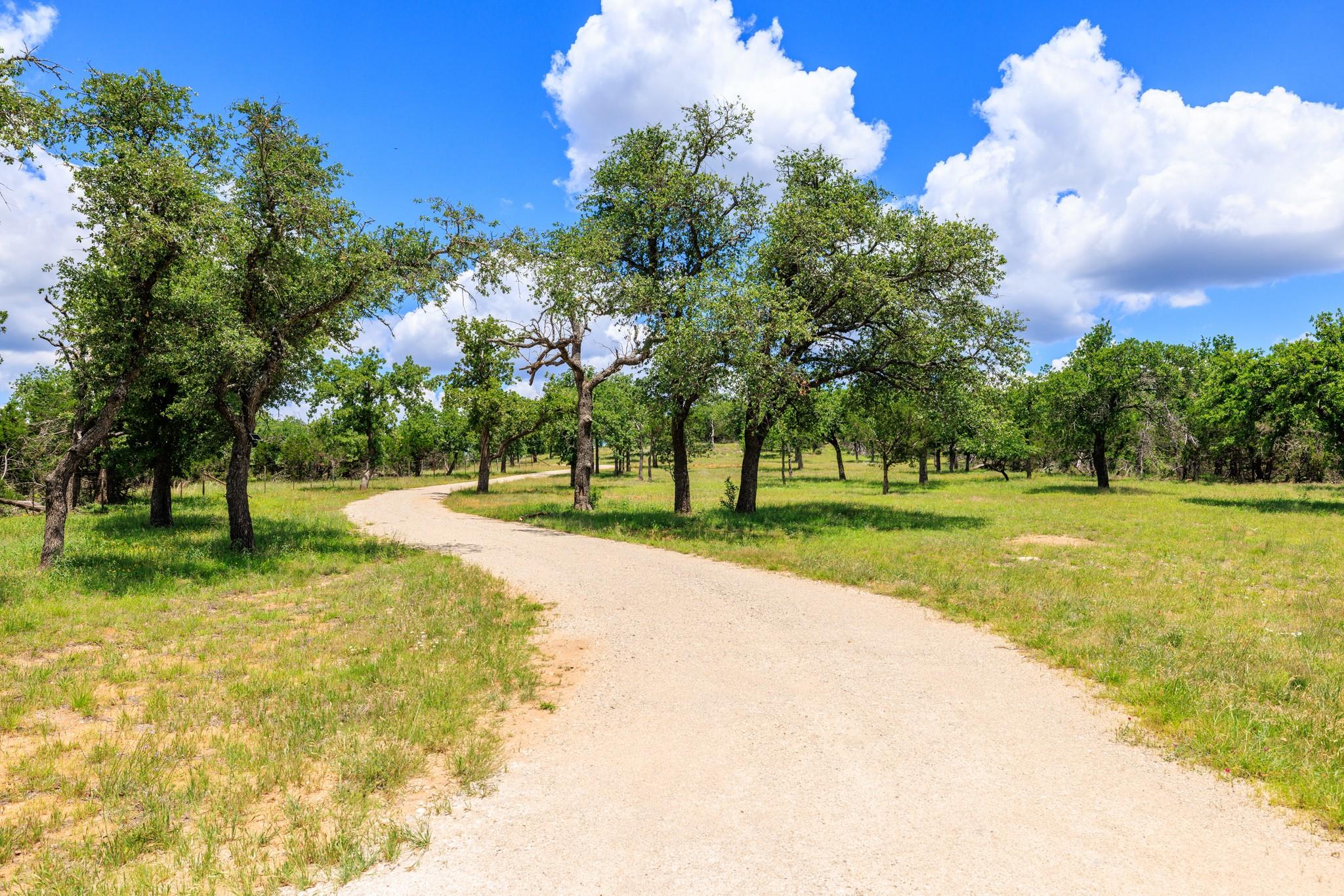 520 Isaacs Mountain Rd, Willow City, TX 78675