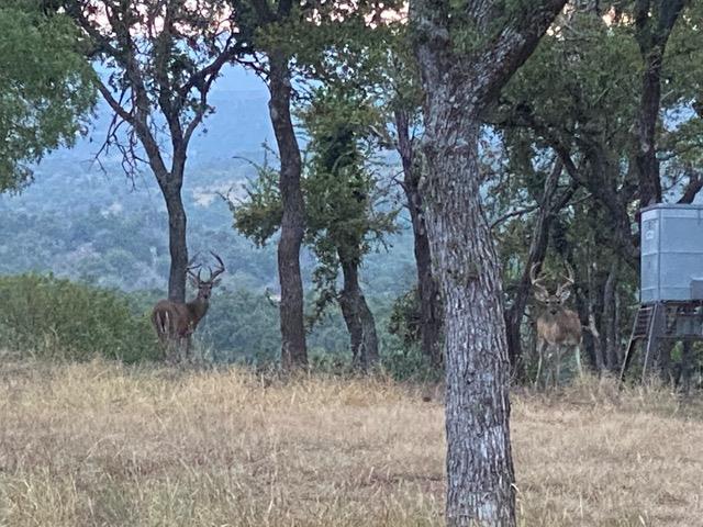 520 Isaacs Mountain Rd, Willow City, TX 78675