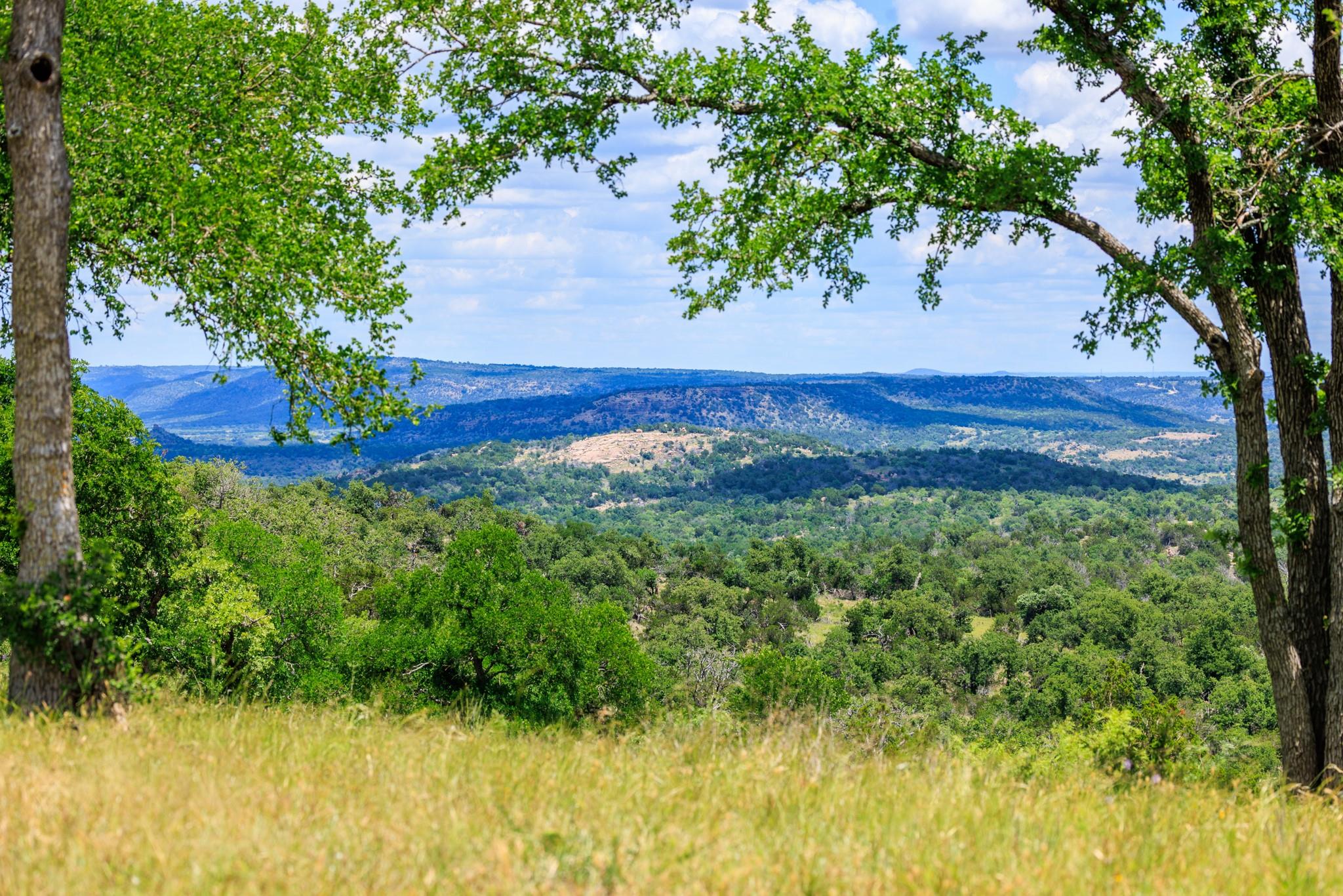 520 Isaacs Mountain Rd, Willow City, TX 78675