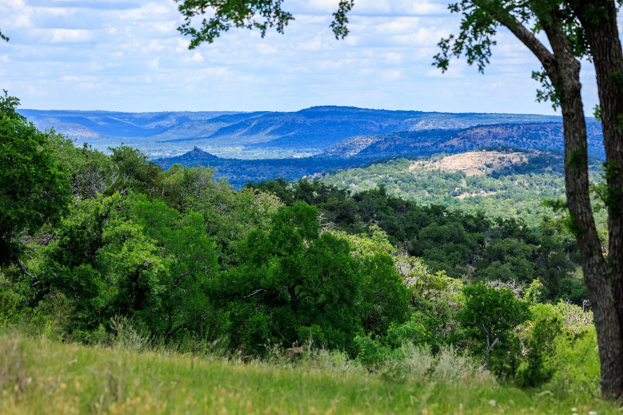 520 Isaacs Mountain Rd, Willow City, TX 78675