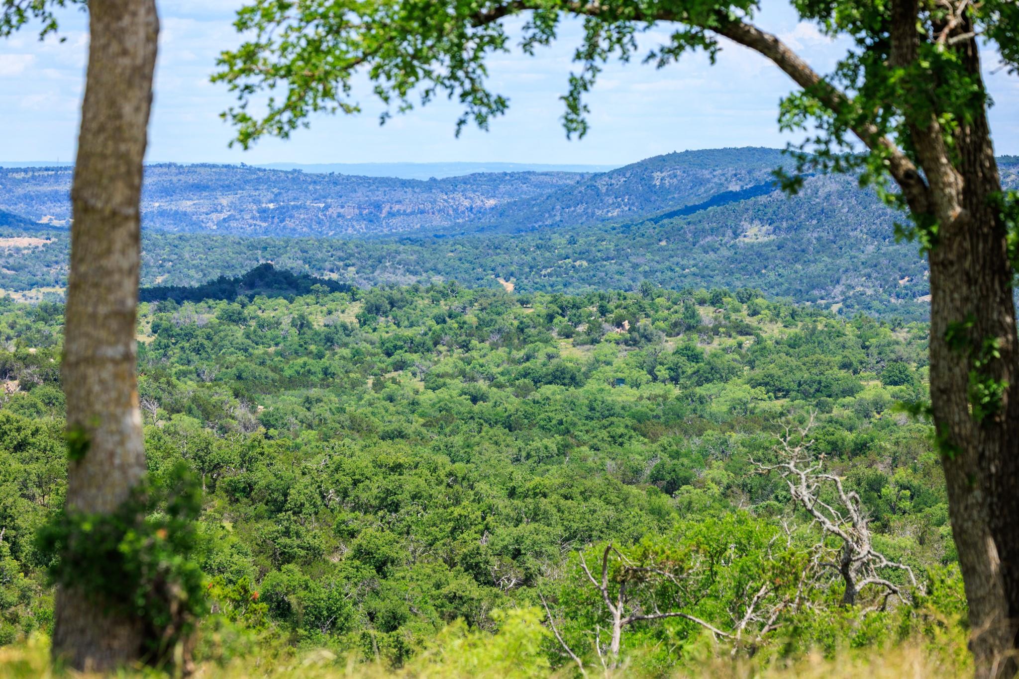 520 Isaacs Mountain Rd, Willow City, TX 78675