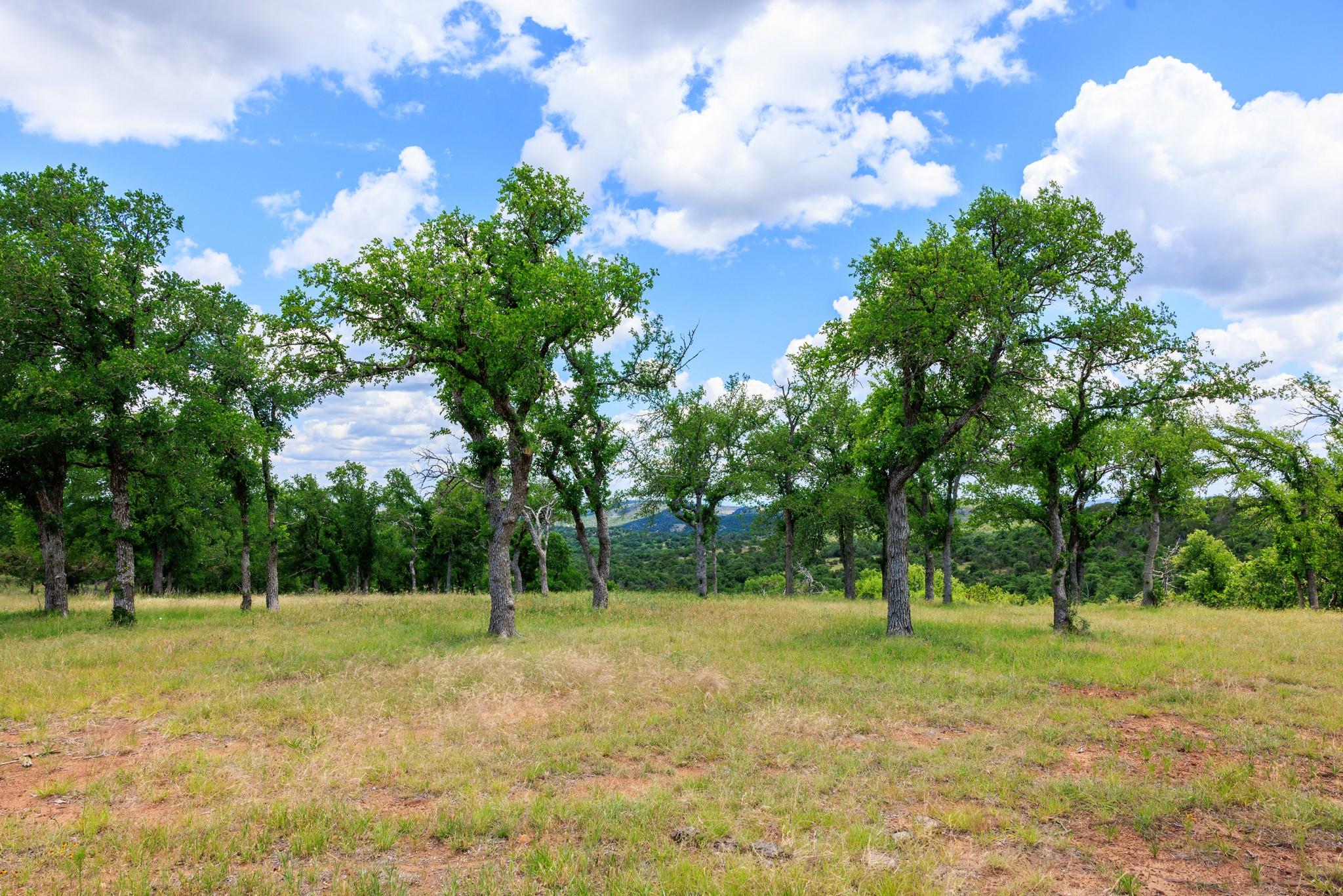 520 Isaacs Mountain Rd, Willow City, TX 78675