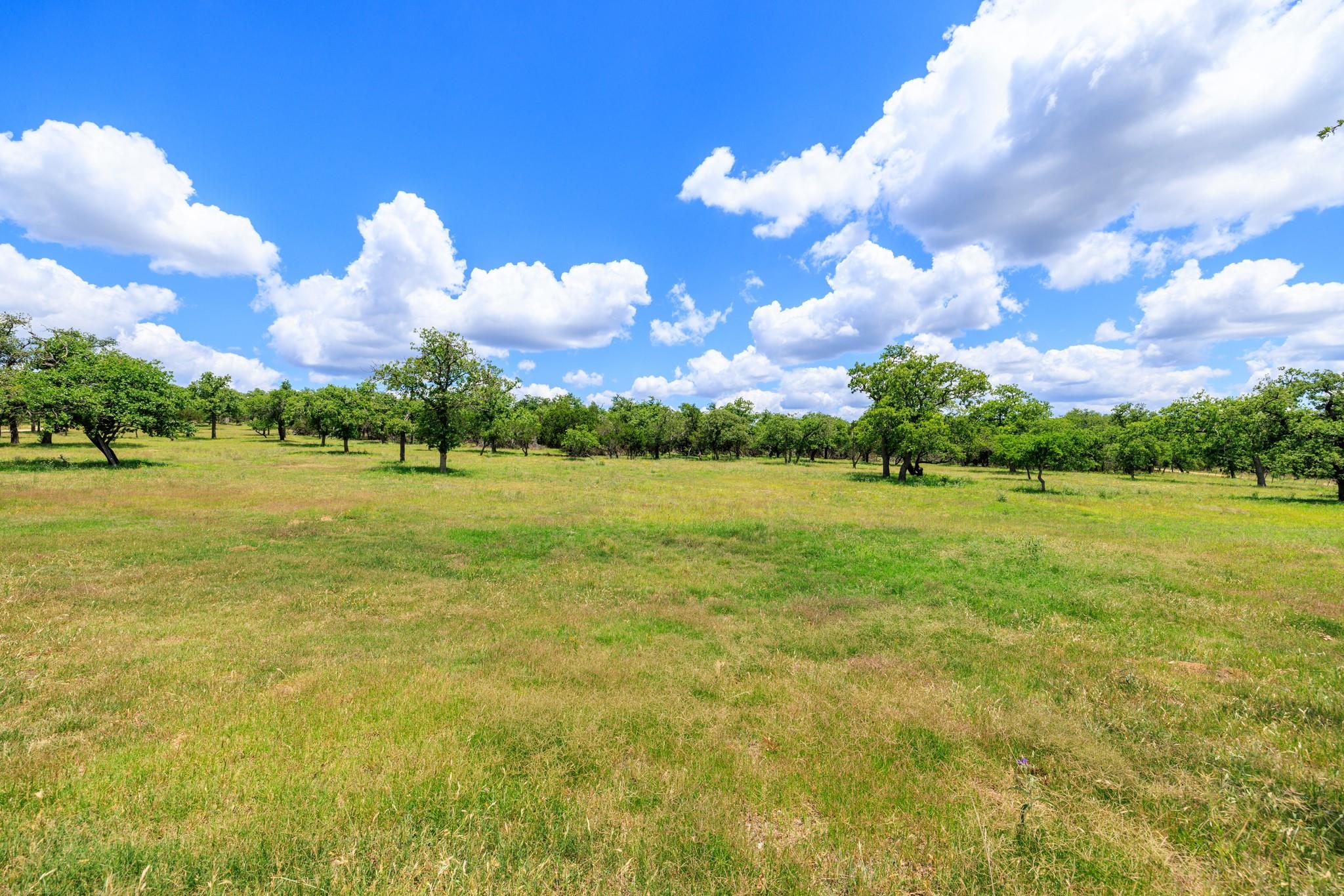 520 Isaacs Mountain Rd, Willow City, TX 78675