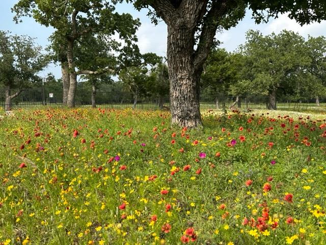 520 Isaacs Mountain Rd, Willow City, TX 78675