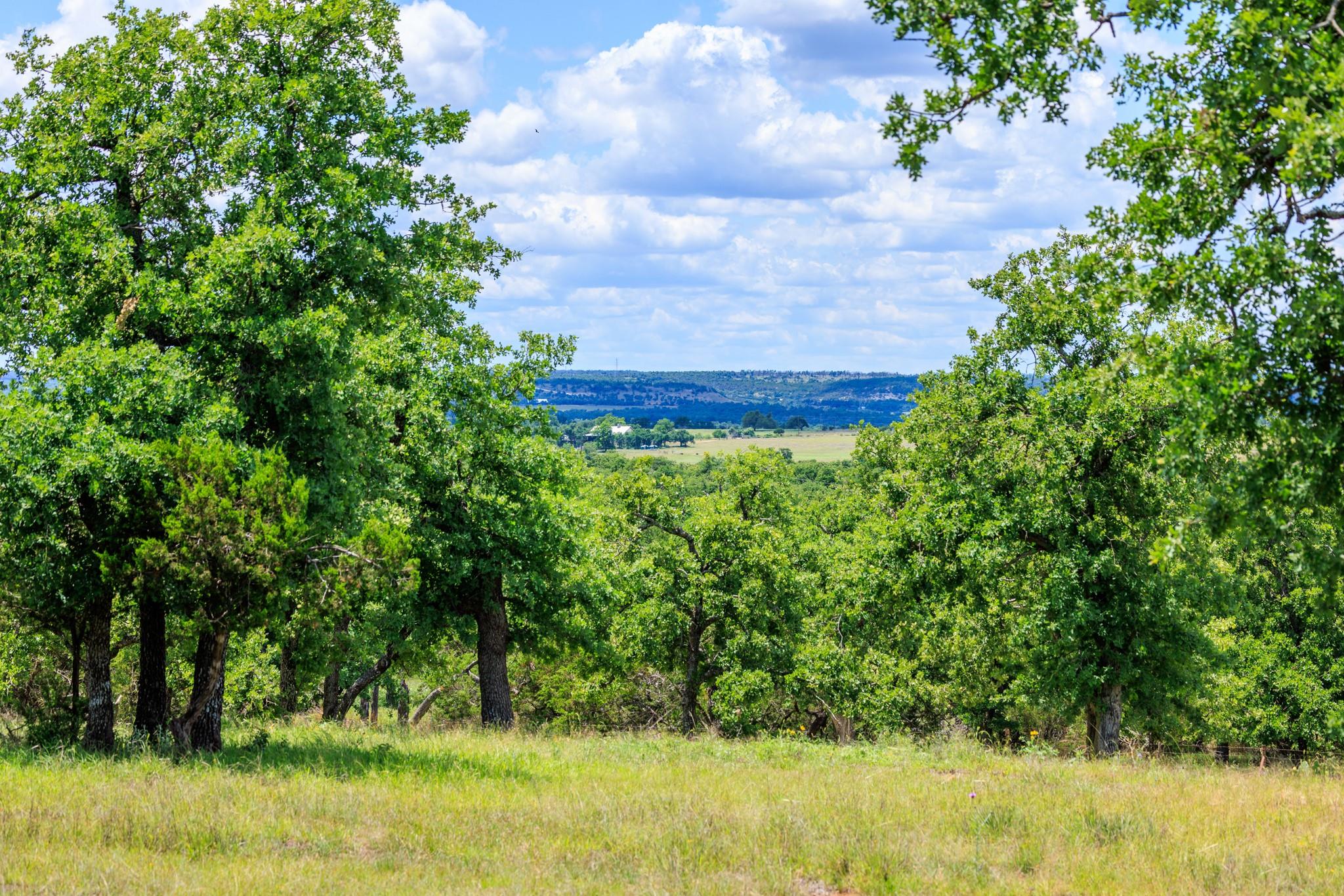 520 Isaacs Mountain Rd, Willow City, TX 78675