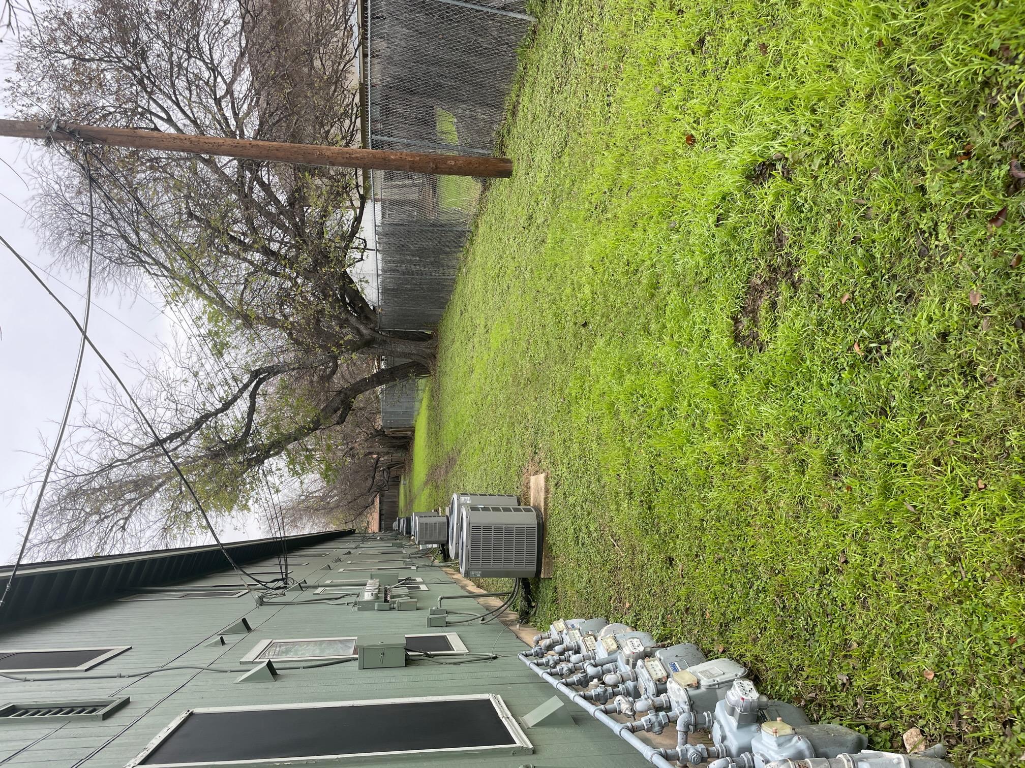 1111 Sunrise Rd # 14, Round Rock, TX 78664