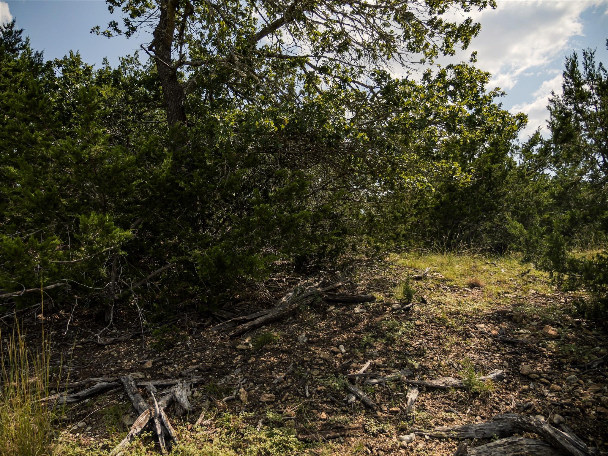 39 Buckskin Path, Fredericksburg, TX 78624