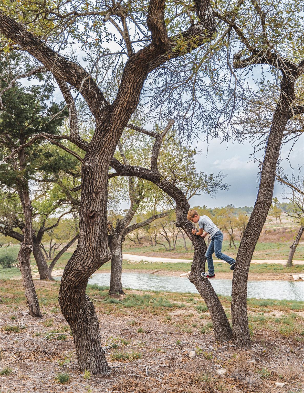 3300 FM 165 - Lot 4, Dripping Springs, TX 78620