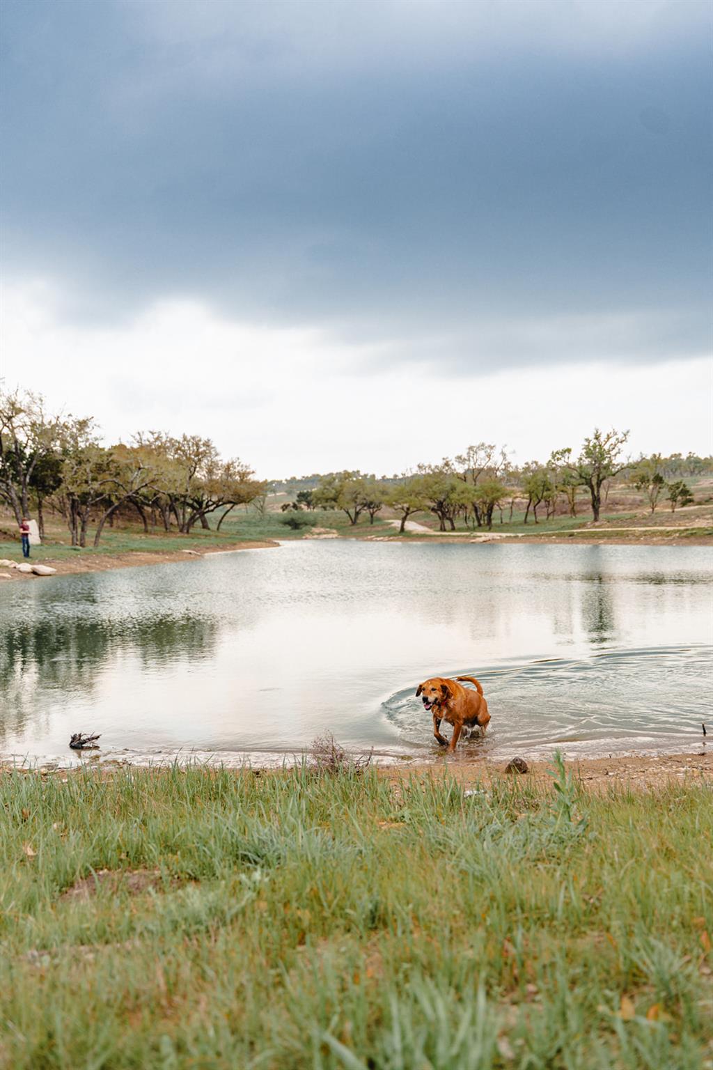 3300 FM 165 - Lot 4, Dripping Springs, TX 78620