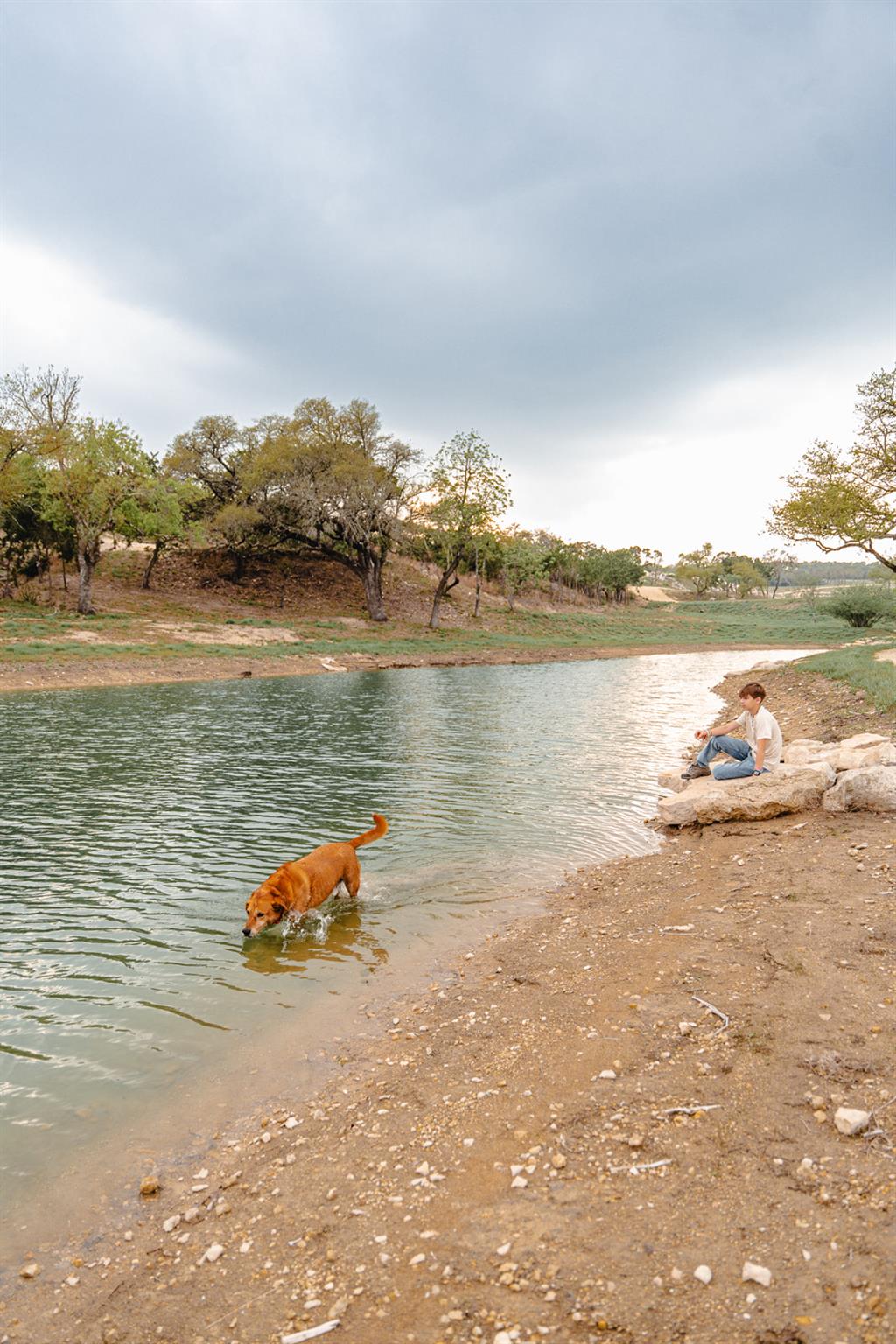 3300 FM 165 - Lot 4, Dripping Springs, TX 78620