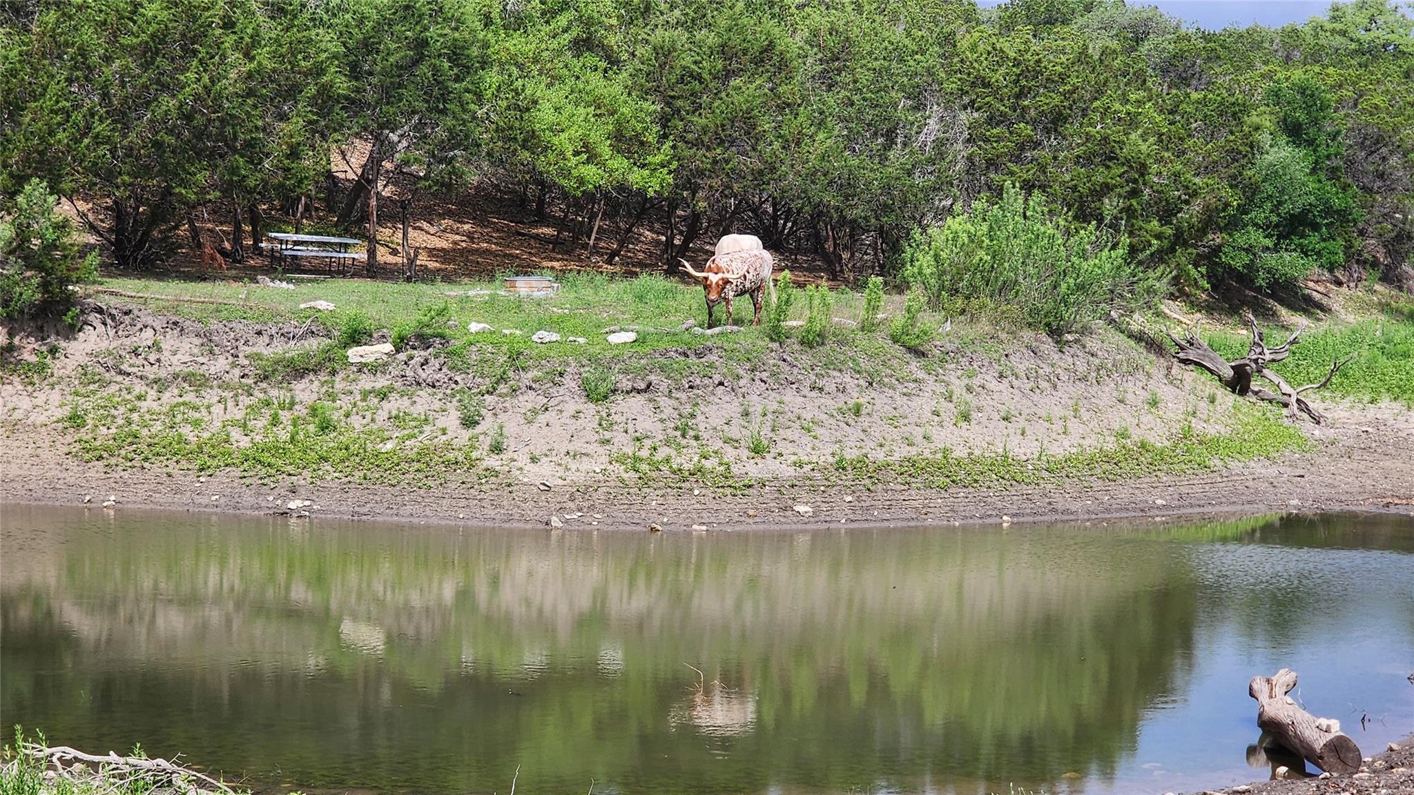 110 Longhorn Ln, Dripping Springs, TX 78620