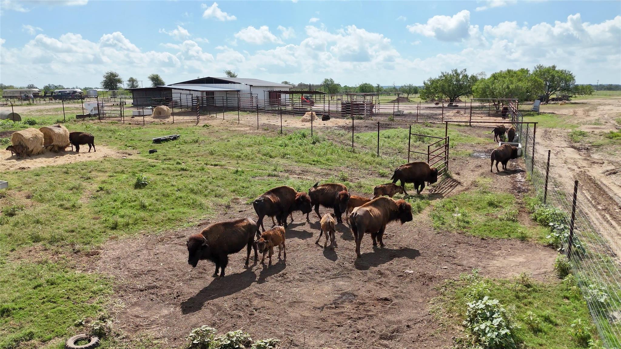 000 Watterson Rd, Red Rock, TX 78662