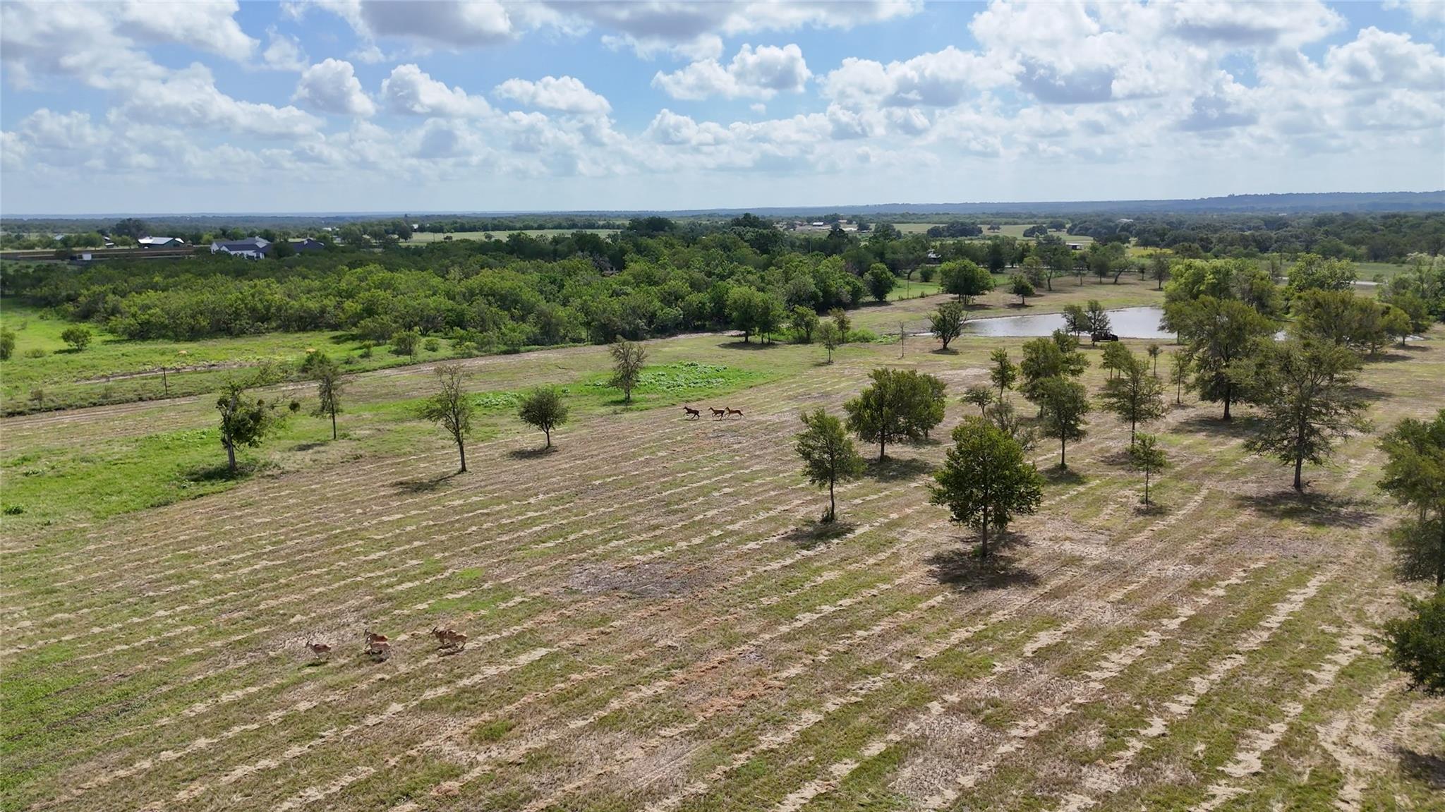 TBD Watterson Rd, Red Rock, TX 78662