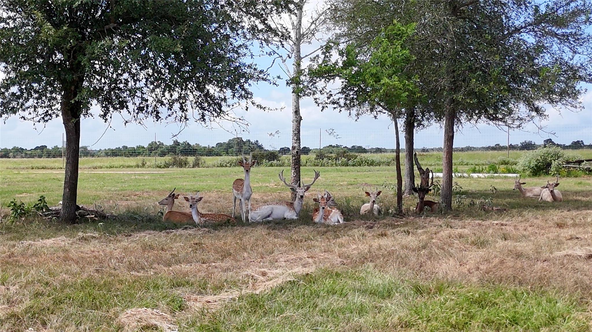 TBD Watterson Rd, Red Rock, TX 78662