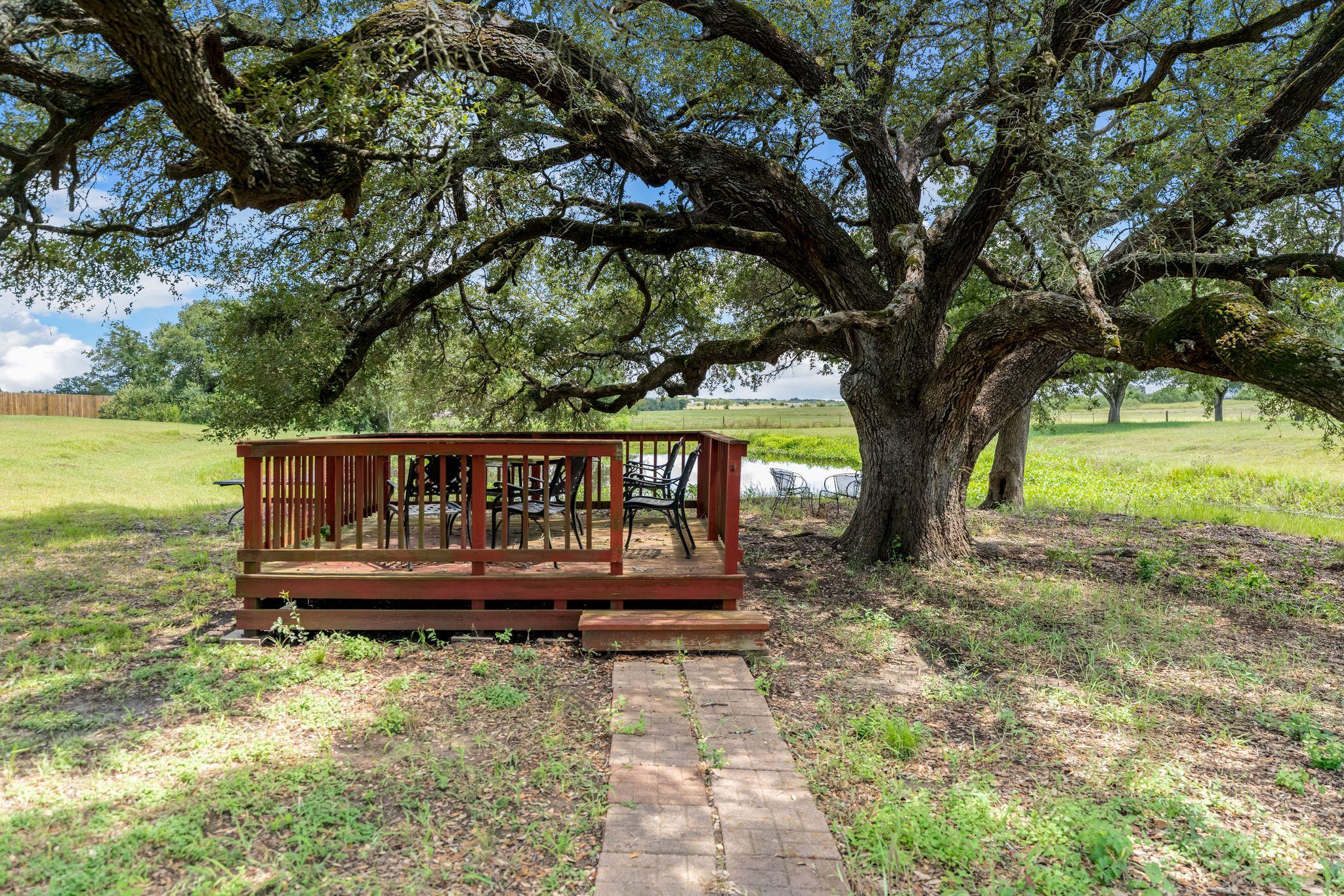 275 Saegert Rd, Paige, TX 78659