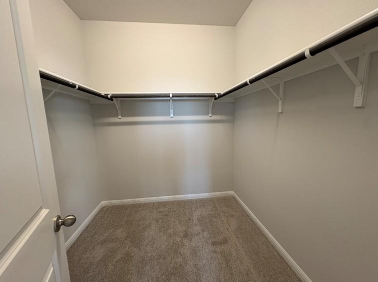 111 Elm Branch Trl, Taylor, TX 76574