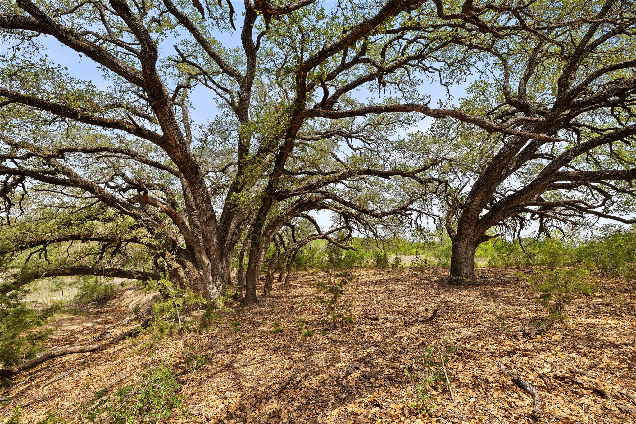 TBD County Road 207, Burnet, TX 78611