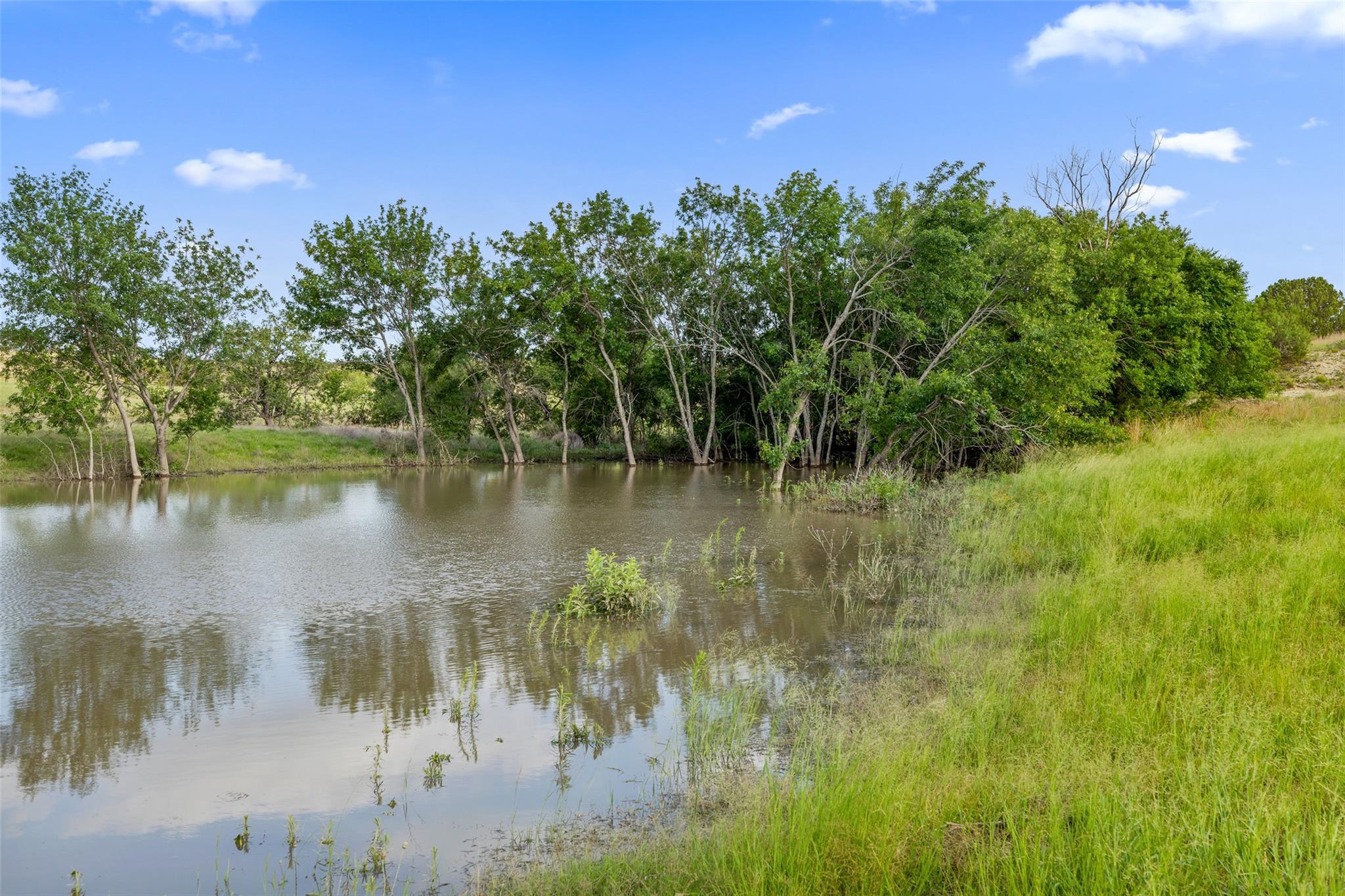 TBD County Road 207, Burnet, TX 78611