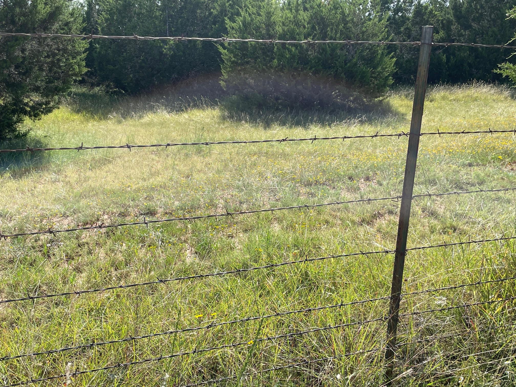 1412 S FM 1174 Rd, Bertram, TX 78605