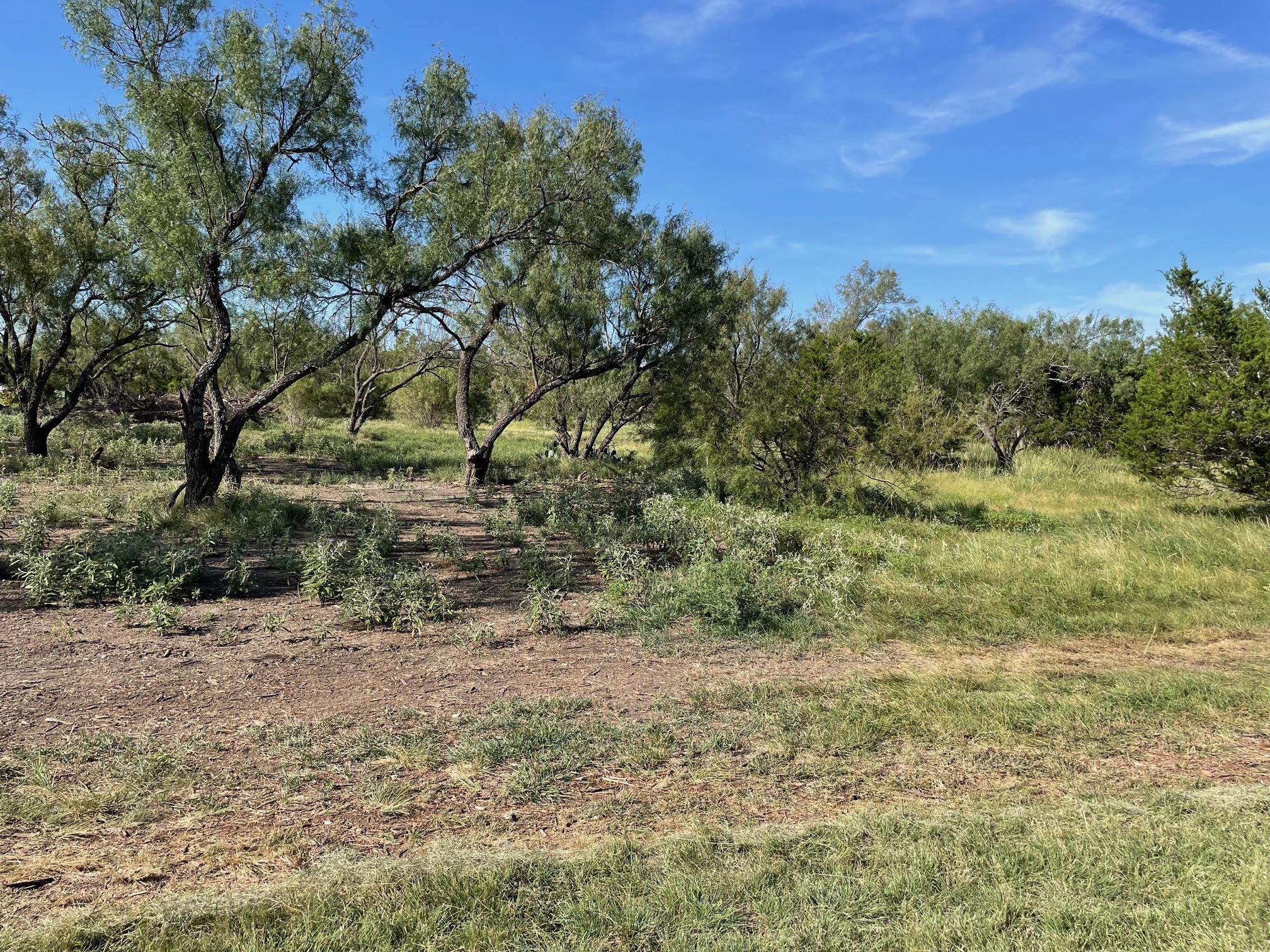 1412 S FM 1174 Rd, Bertram, TX 78605